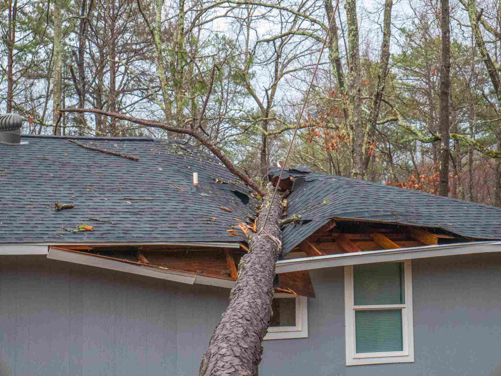 Tree fallen on residential roof causing severe structural damage requiring emergency storm damage restoration services in Downriver Detroit, MI.