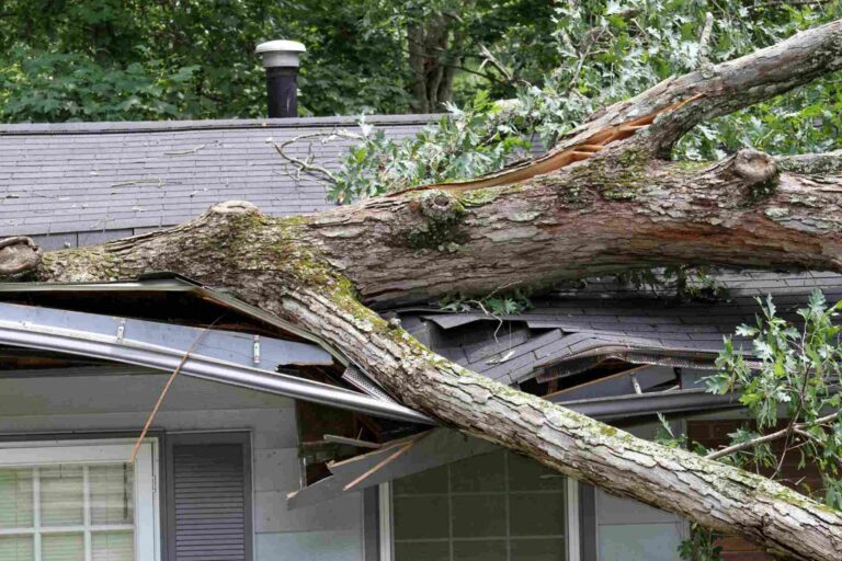 Fallen tree causing major roof and structural damage to home after storm in Downriver Detroit MI requiring emergency restoration.